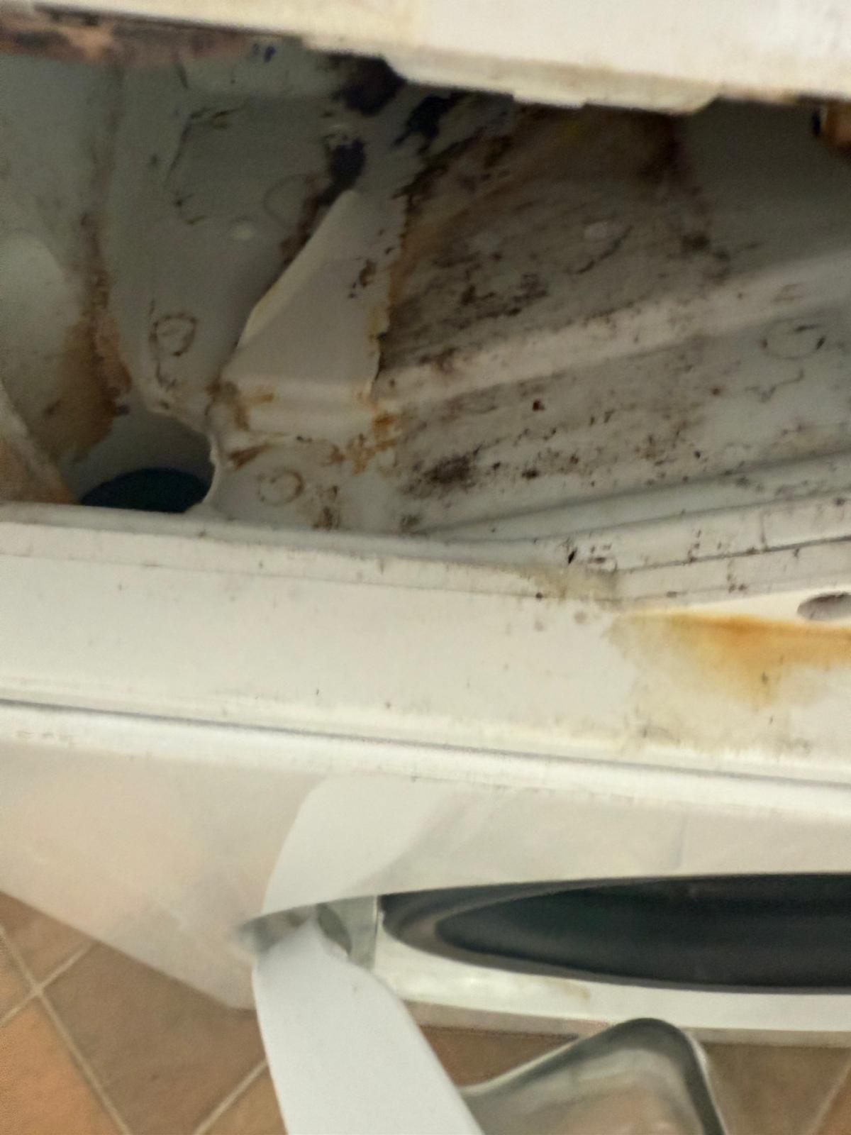 Before clean