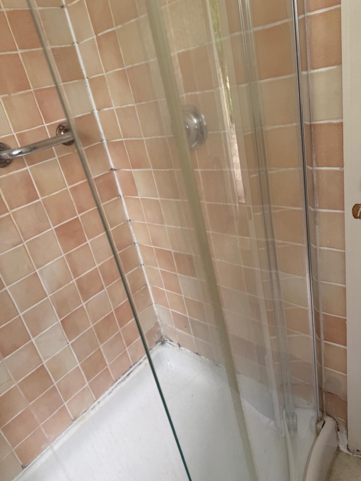 Toilet & Tiles before